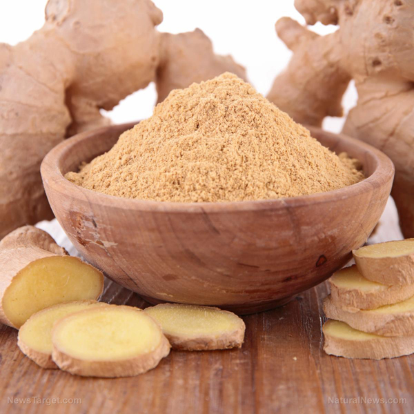 Ginger Powder