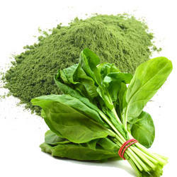 Spinach Powder