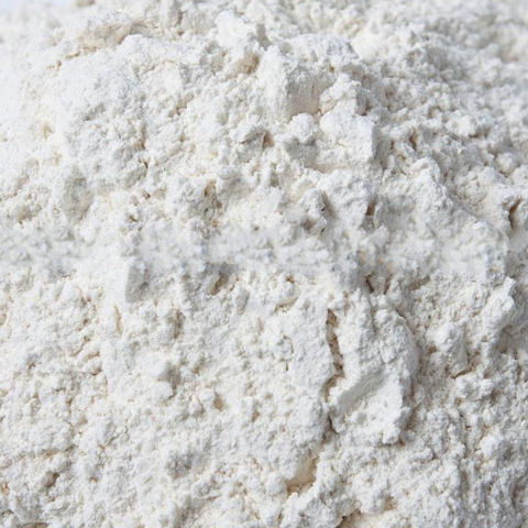 White Onion Powder